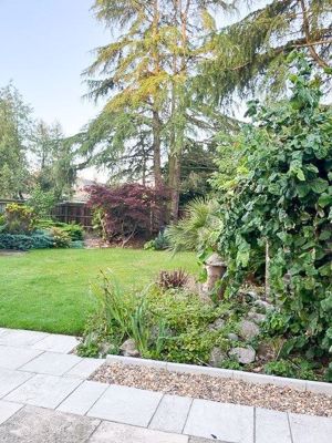 Photo 3- click for photo gallery